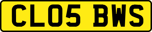 CL05BWS