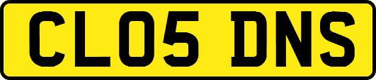 CL05DNS