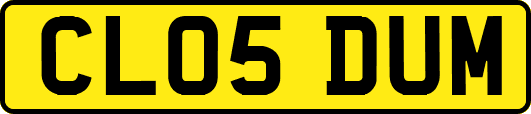 CL05DUM