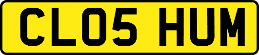 CL05HUM