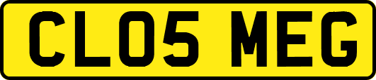 CL05MEG