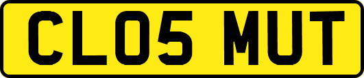 CL05MUT