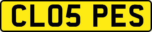 CL05PES