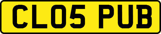 CL05PUB