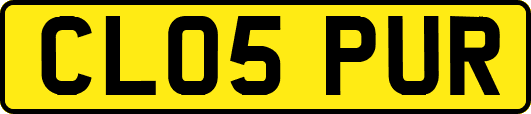 CL05PUR