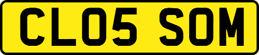 CL05SOM