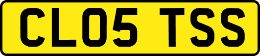 CL05TSS