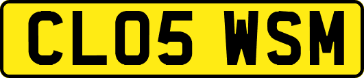 CL05WSM