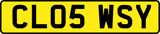 CL05WSY