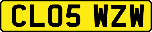 CL05WZW