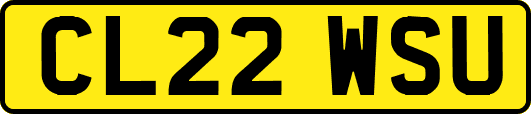 CL22WSU