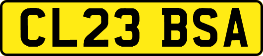 CL23BSA