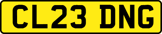 CL23DNG