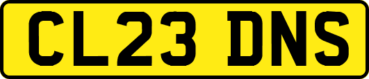 CL23DNS
