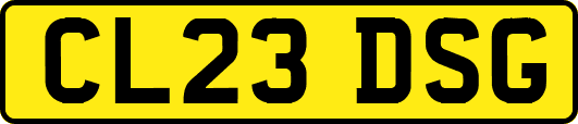 CL23DSG