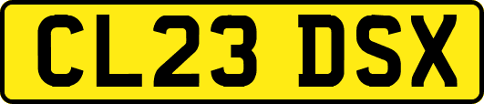CL23DSX