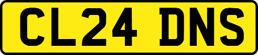 CL24DNS