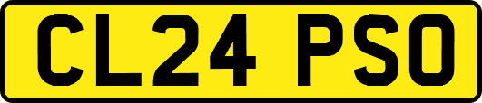 CL24PSO