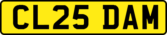 CL25DAM