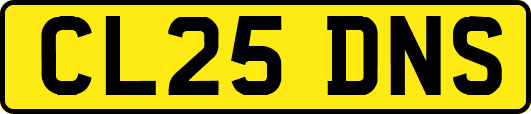 CL25DNS