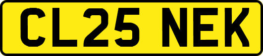 CL25NEK