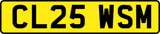 CL25WSM