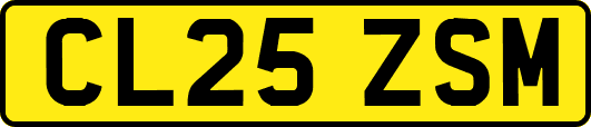 CL25ZSM