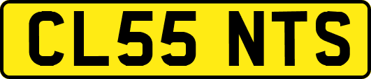 CL55NTS