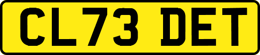CL73DET