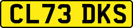 CL73DKS