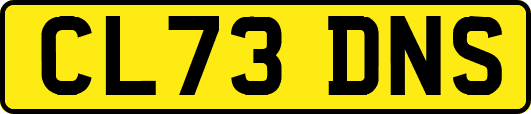 CL73DNS