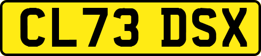 CL73DSX