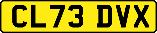 CL73DVX