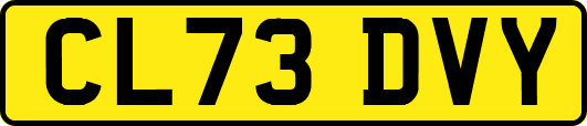 CL73DVY