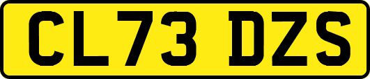 CL73DZS