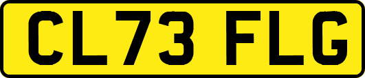CL73FLG