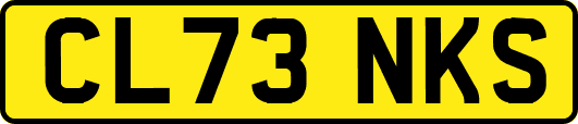 CL73NKS