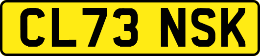 CL73NSK