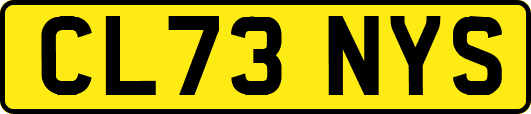 CL73NYS