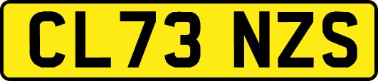 CL73NZS