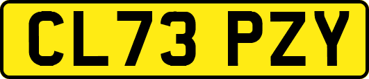 CL73PZY