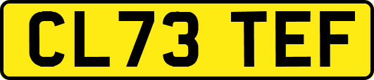 CL73TEF
