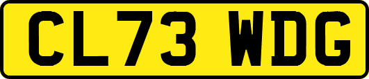 CL73WDG
