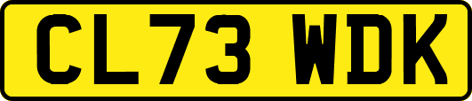 CL73WDK