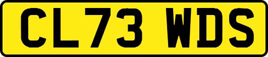 CL73WDS