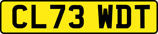 CL73WDT