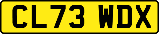 CL73WDX