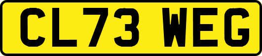 CL73WEG