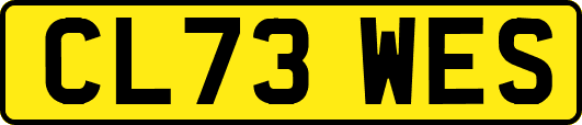 CL73WES