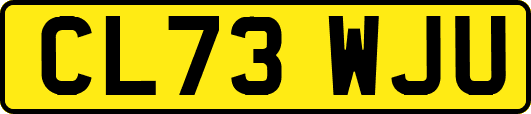 CL73WJU